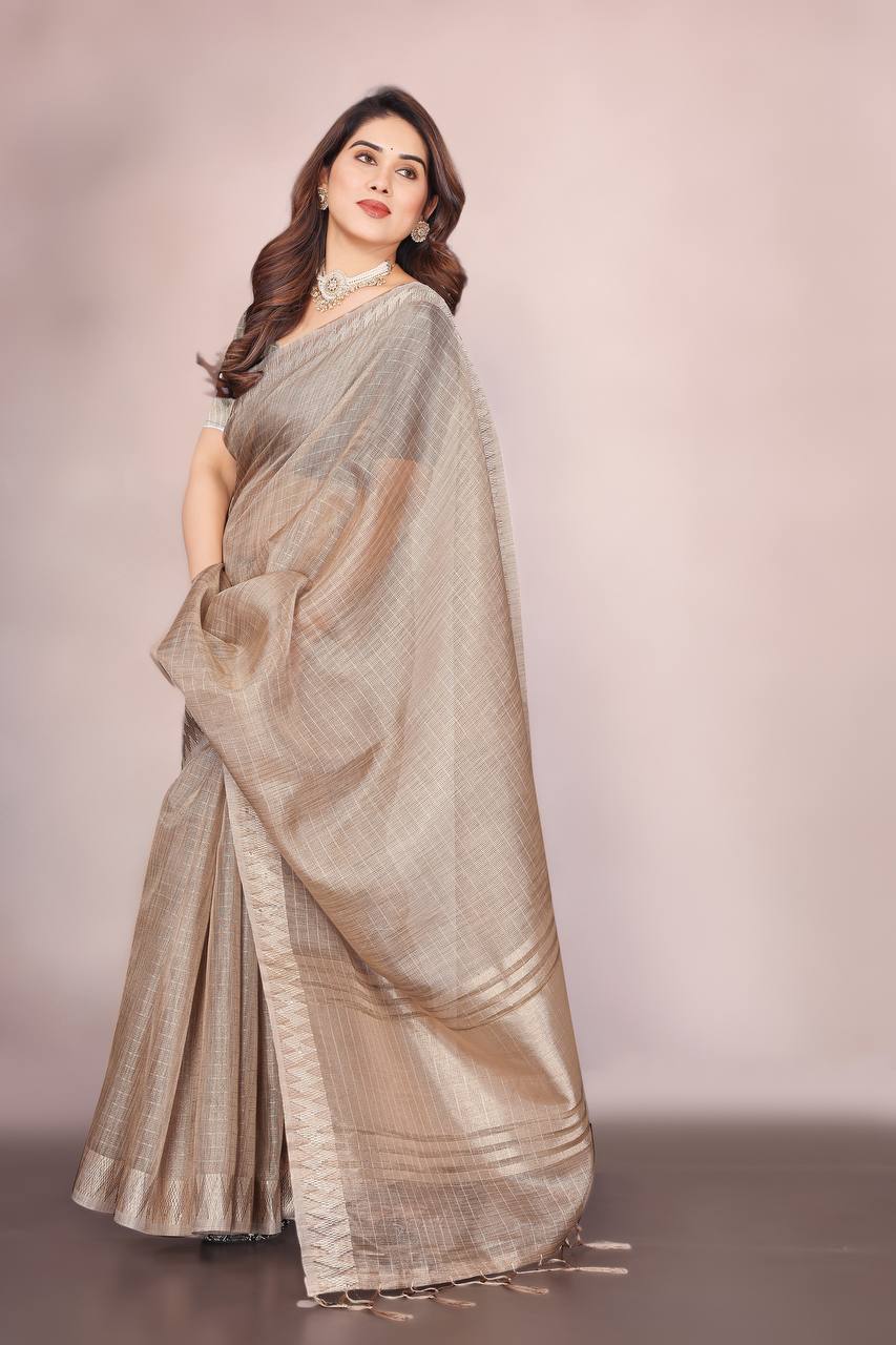 Beautiful Establishe Embroidery Sequence Work Saree