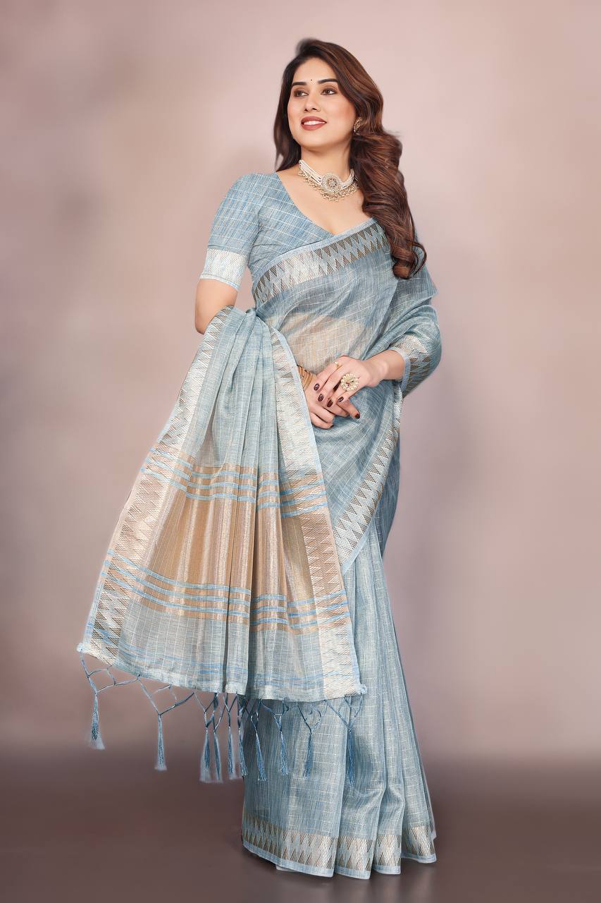 Beautiful Establishe Embroidery Sequence Work Saree