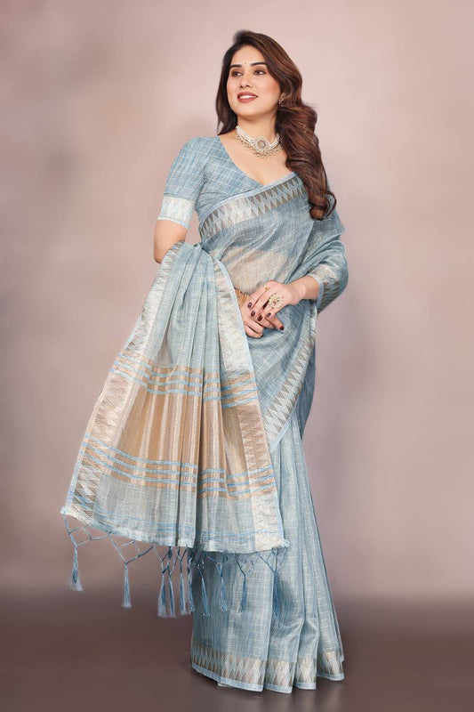 Beautiful Establishe Embroidery Sequence Work Saree