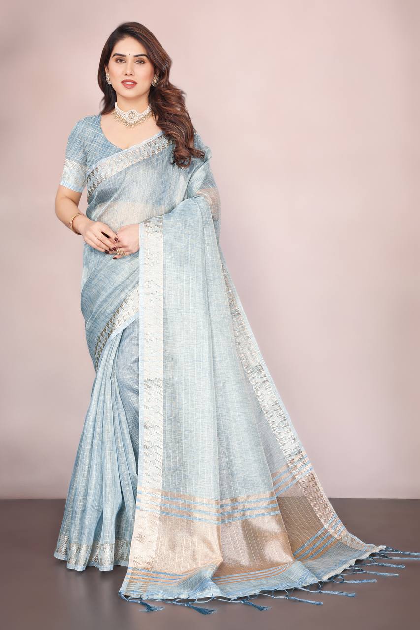 Beautiful Establishe Embroidery Sequence Work Saree
