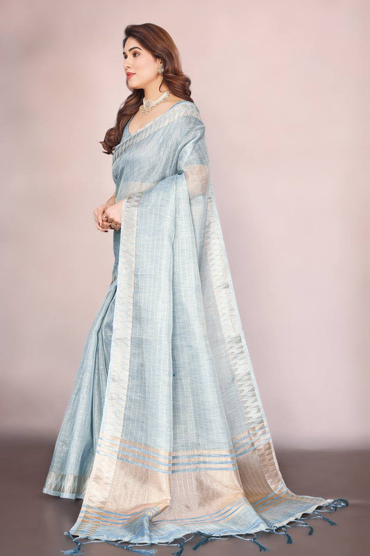 Beautiful Establishe Embroidery Sequence Work Saree