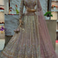 Einführung eines 4 Meter ausgestellten Coding Sequins Work Lehenga