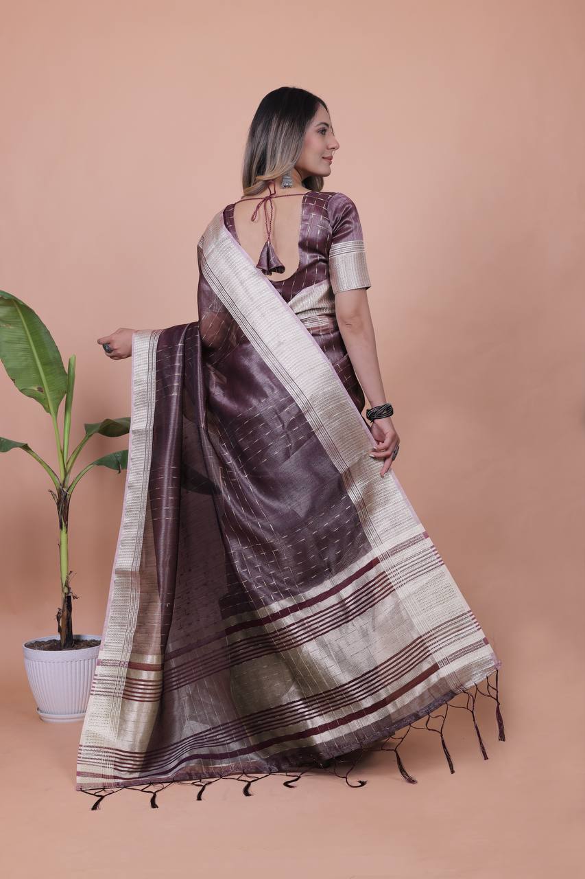 Beautiful Establishe Embroidery Sequence Work Saree