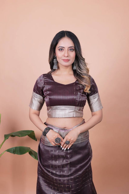 Beautiful Establishe Embroidery Sequence Work Saree