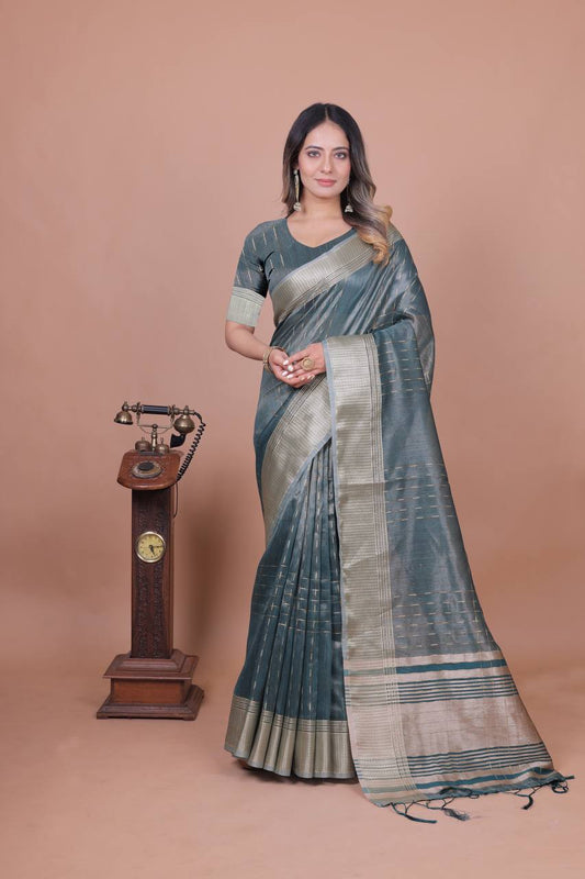 Beautiful Establishe Embroidery Sequence Work Saree