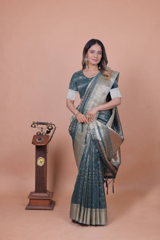 Beautiful Establishe Embroidery Sequence Work Saree