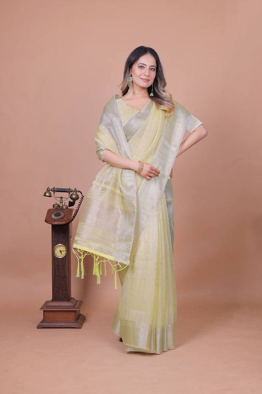 Beautiful Establishe Embroidery Sequence Work Saree