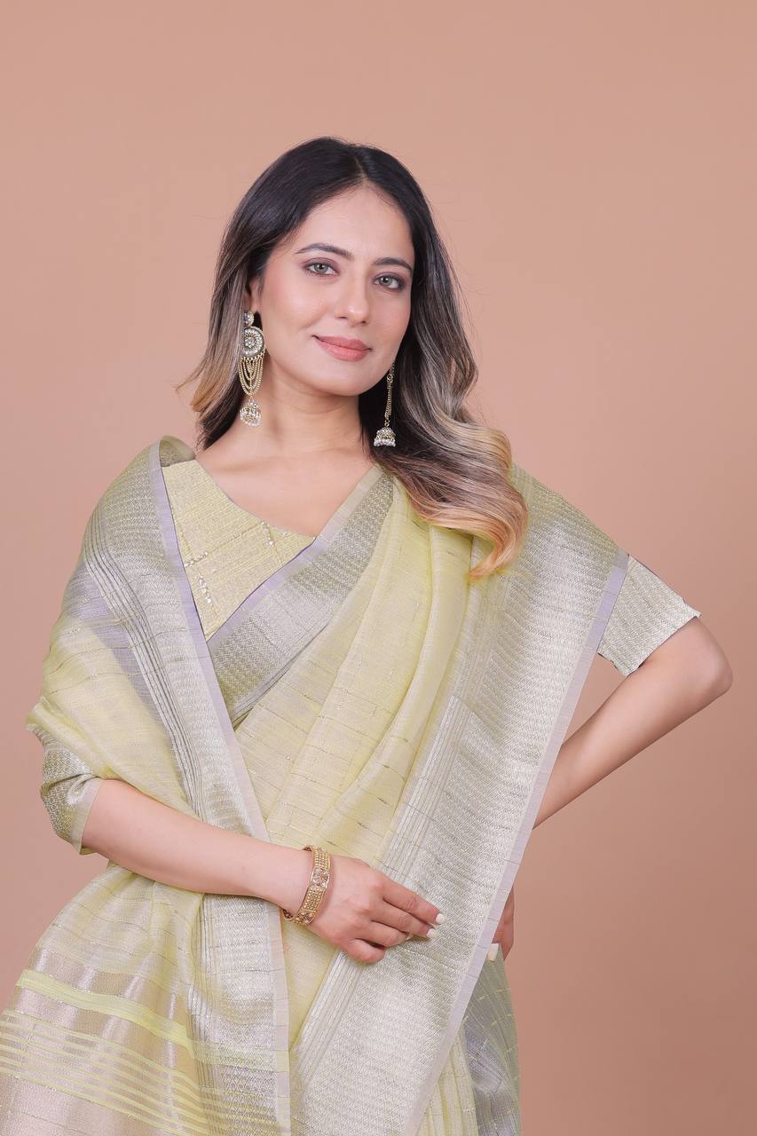 Beautiful Establishe Embroidery Sequence Work Saree