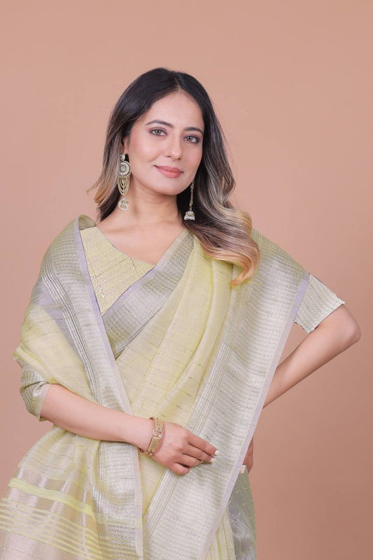 Beautiful Establishe Embroidery Sequence Work Saree