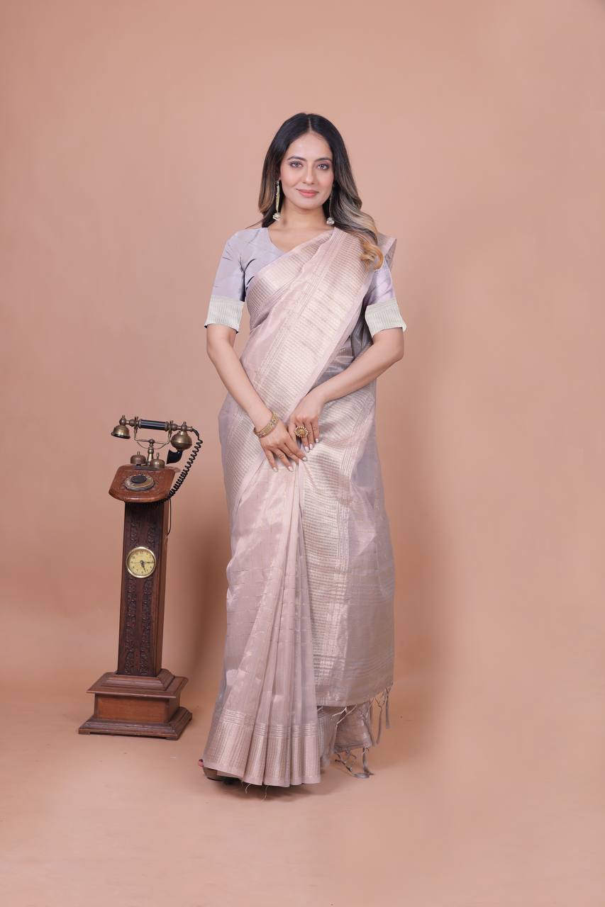 Beautiful Establishe Embroidery Sequence Work Saree