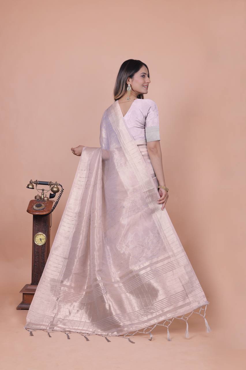 Beautiful Establishe Embroidery Sequence Work Saree