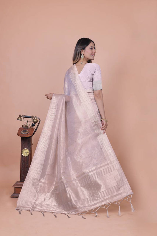 Beautiful Establishe Embroidery Sequence Work Saree