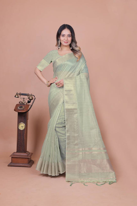 Beautiful Establishe Embroidery Sequence Work Saree
