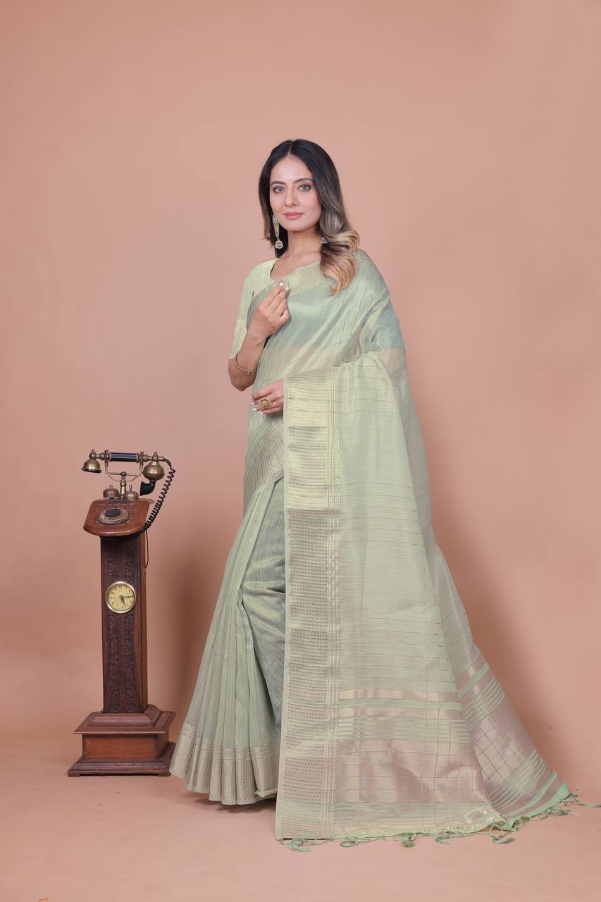 Beautiful Establishe Embroidery Sequence Work Saree