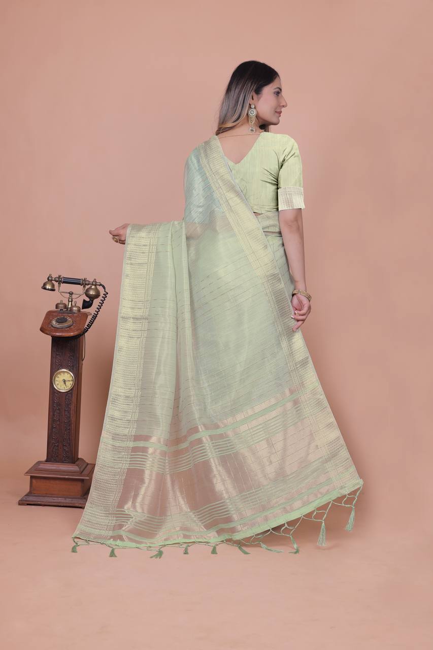 Beautiful Establishe Embroidery Sequence Work Saree