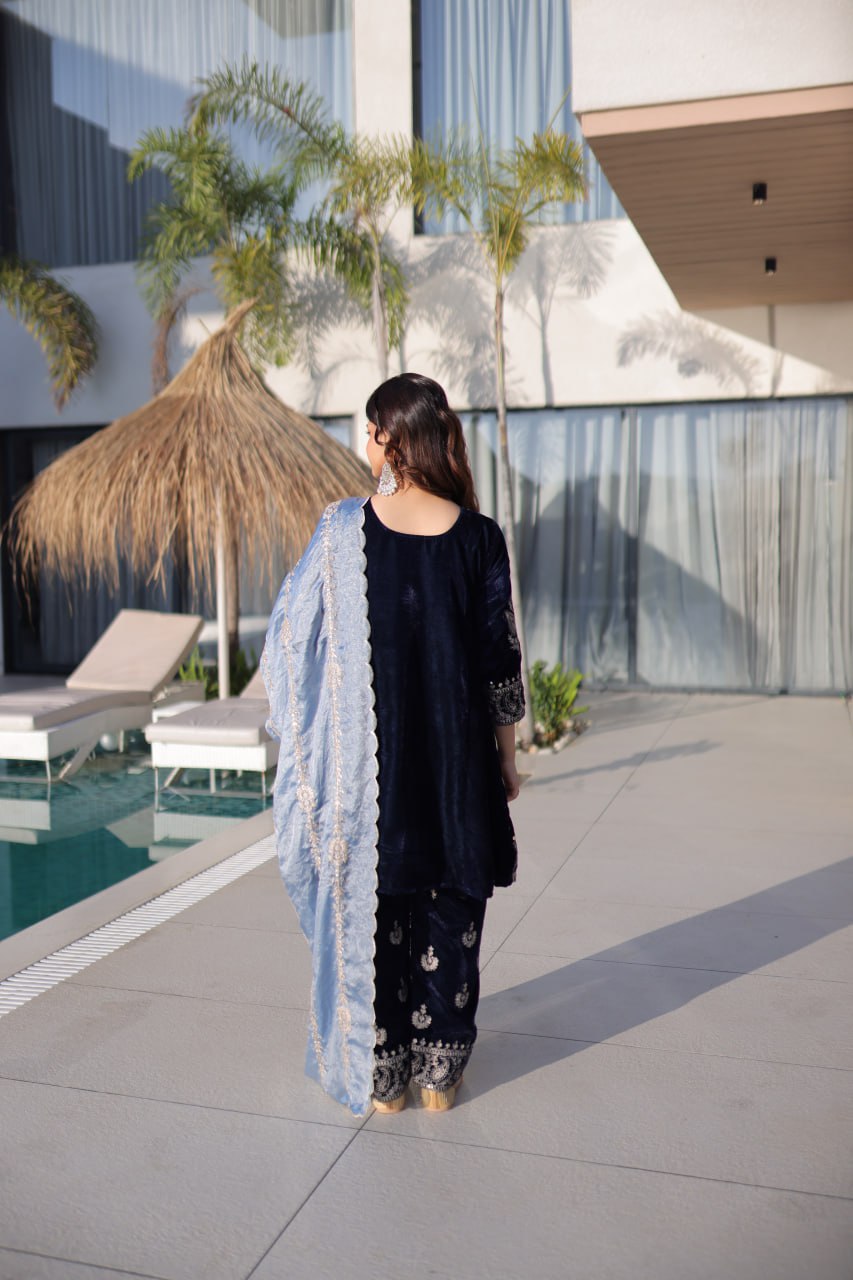 9000 Velvet with Rich Zari Embroidered work suit