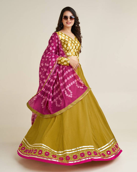 Chaniya choli so vibrant that they are a treat to your sight