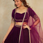 9000 velvet lehenga with Dori & sequins border work on waist Choli