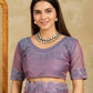 Party Wear Fendy Soft Net Saree