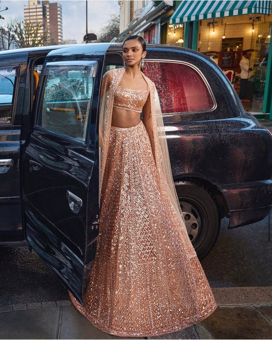 Net lehenga with rainbow sequins & dori work Lehenga