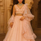 Georgette lehnga with sequins work and frill border work Lehenga