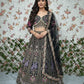 Presenting You Most Beautiful Most Trending Lehenga Collection