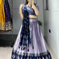 Kanchipuram Silk Zari Weaving With Contrast Border and Silver Golden Zari Detailings Lehenga