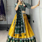 Kanchipuram Silk Zari Weaving With Contrast Border and Silver Golden Zari Detailings Lehenga