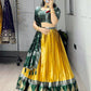 Kanchipuram Silk Zari Weaving With Contrast Border and Silver Golden Zari Detailings Lehenga