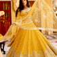 Georget lehnga with paper mirror work Choli