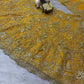Einführung eines 4 Meter ausgestellten Coding Sequins Work Lehenga