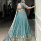 Zari Shimmer Sequins and Thread Embroidery Work Lehenga