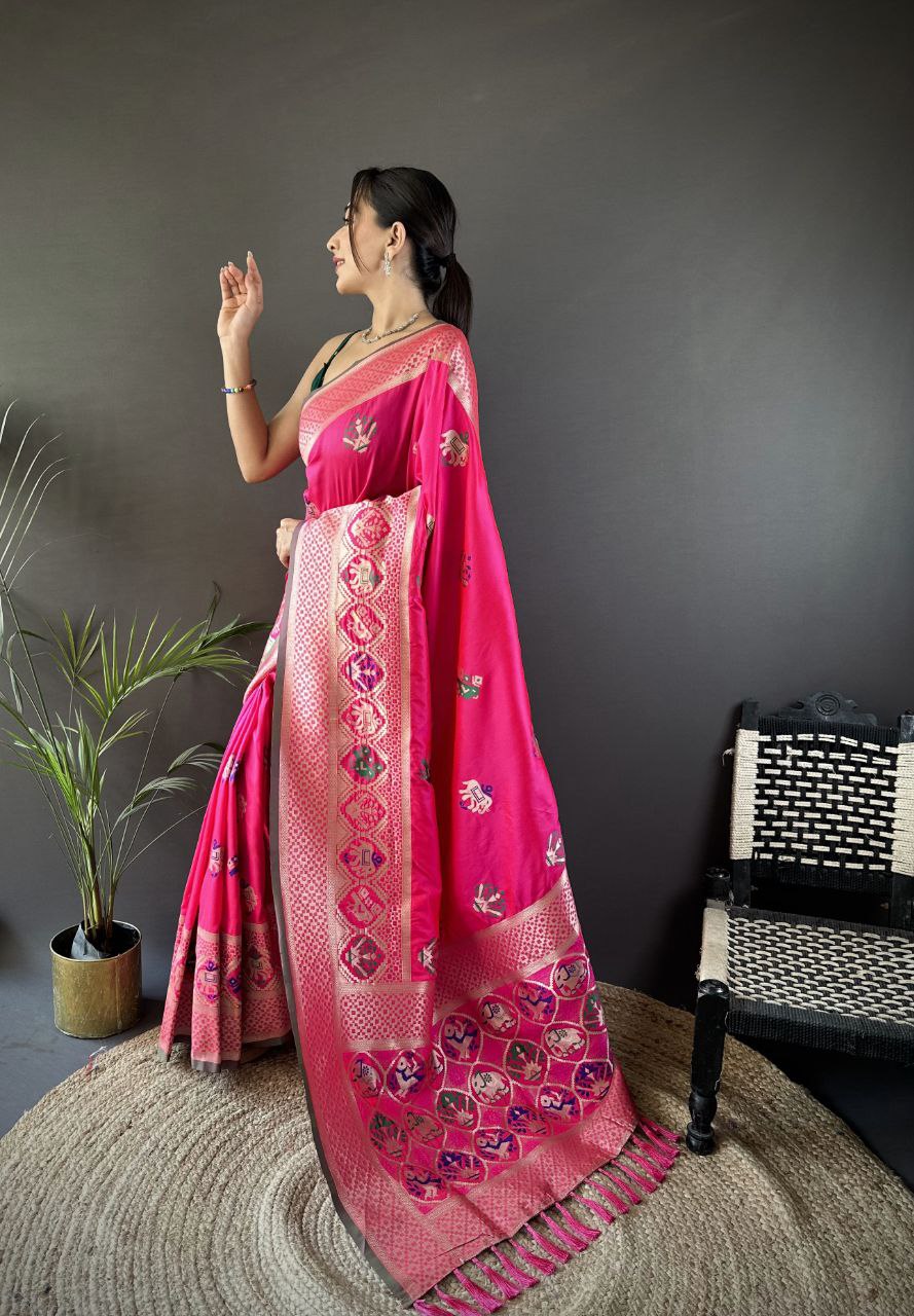 Suche jemanden für ein wunderschönes Designer-Sari in der gleichen Farbe