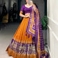 Twirling in tradition shining in silk Lehenga Choli