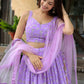 Fancy Designer Premium Looks Lehenga