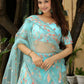 Fancy Designer Premium Looks Lehenga