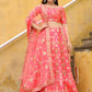 Fancy Designer Premium Looks Lehenga