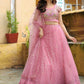 Fancy Designer Premium Looks Lehenga