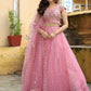 Fancy Designer Premium Looks Lehenga