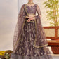 Butterfly Net Party Wear Designer Lehenga