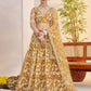 Butterfly Net Party Wear Designer Lehenga