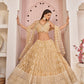 Butterfly Net Party Wear Designer Lehenga