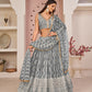Butterfly Net Party Wear Designer Lehenga