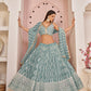 Butterfly Net Party Wear Designer Lehenga