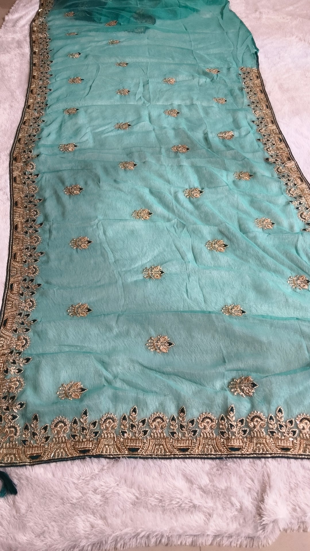 Suche jemanden für einen schönen Sari in der gleichen Farbe