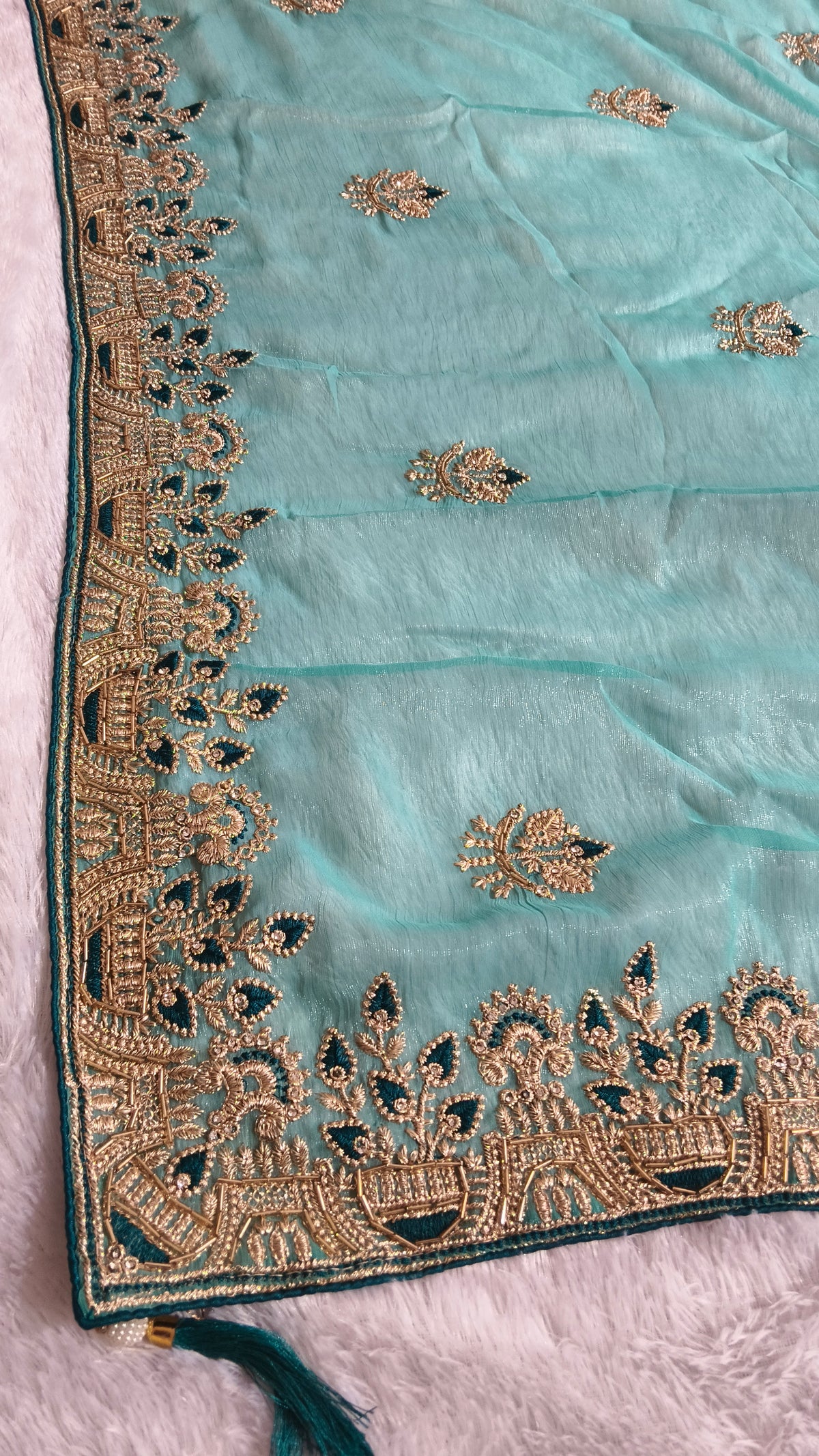 Suche jemanden für einen schönen Sari in der gleichen Farbe