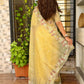 Leno net organza pastal shades saree