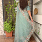 Leno net organza pastal shades saree