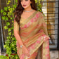 Grace meets glamour in this ethereal colorful saree