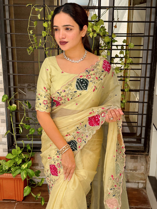 Pastel perfection meets royal elegance saree